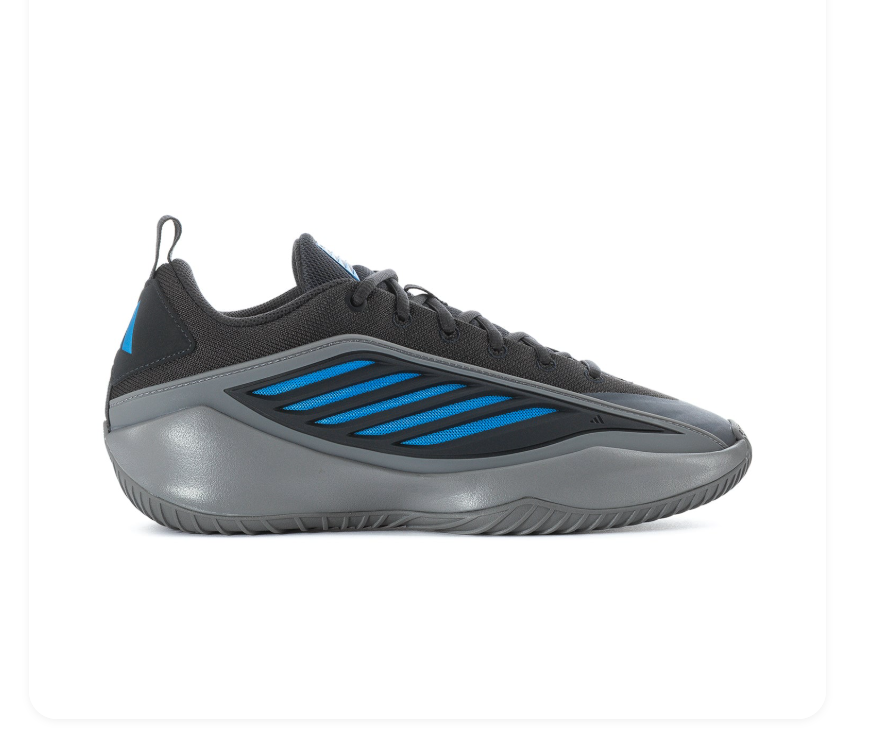 Adidas Low-Top Athletic Sneakers - Black & Gray with Blue Accents